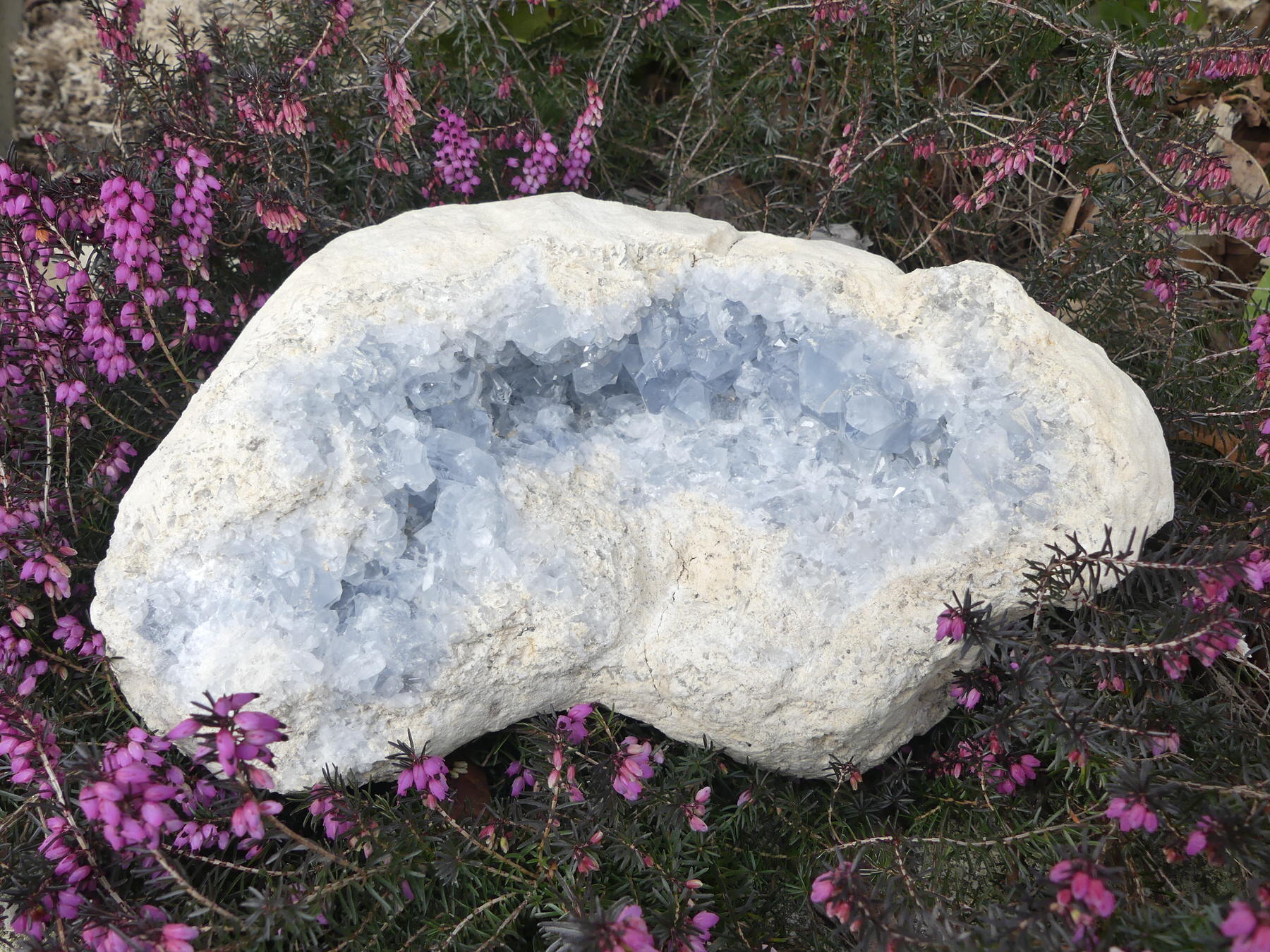 Célestite brute de Madagascar, Géode brute de 27/13/9 cm, pierre semi précieuse de collection