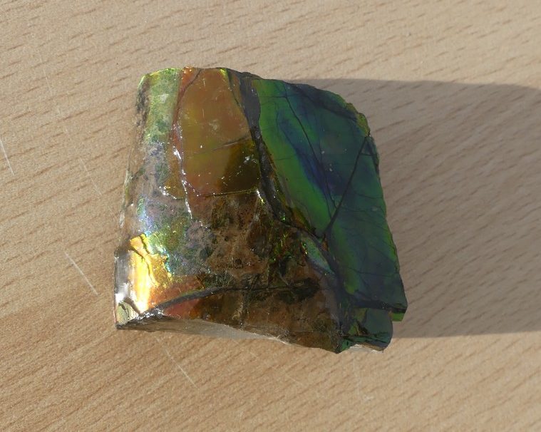 Ammolite brute du Canada | Pierre semi précieuse 4 cm vert jaune
