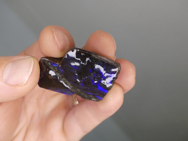Ammolite brute du Canada | Boutique suisse Lithothérapie & minéraux du monde