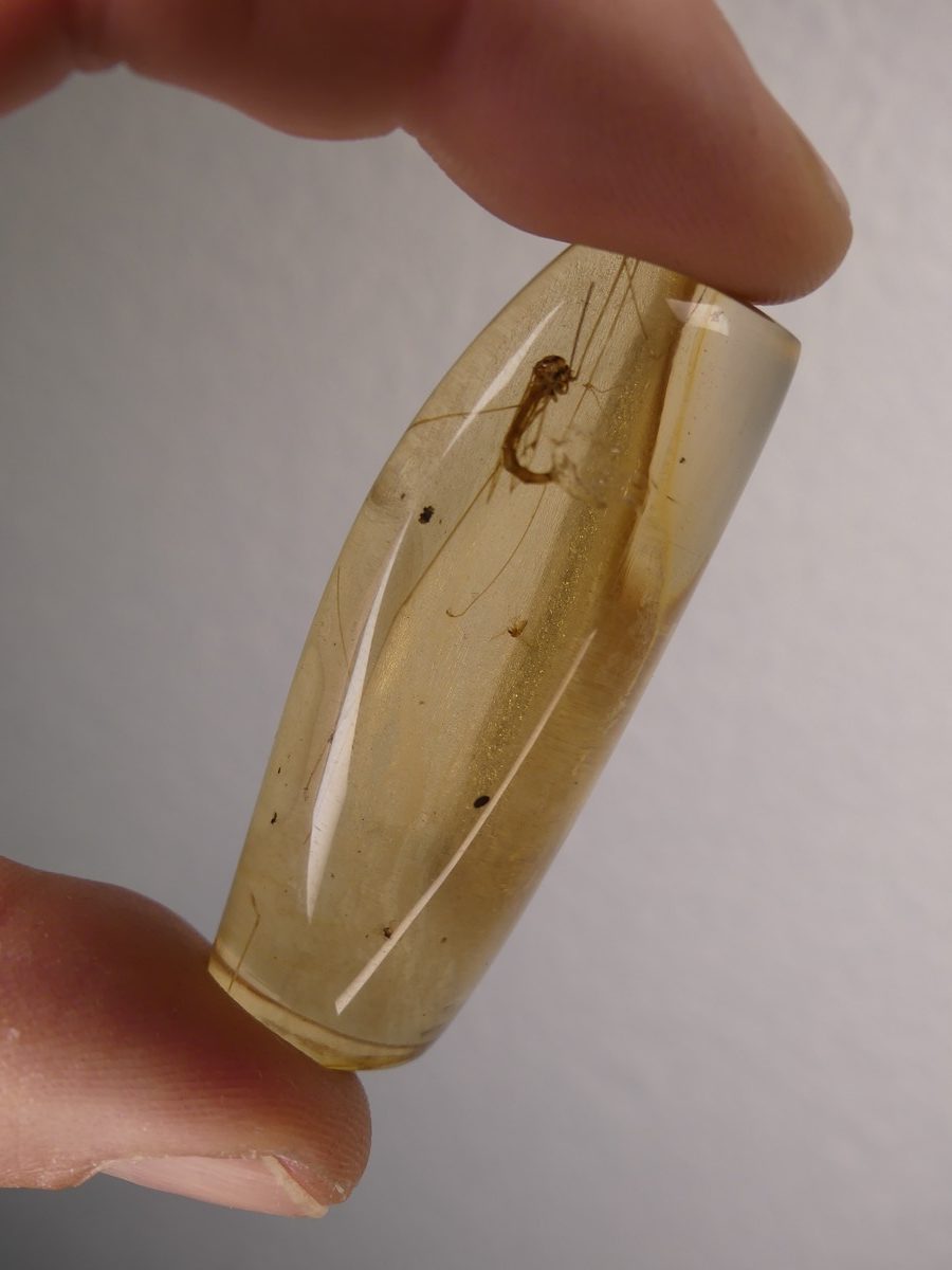 Copal avec insectes - Boutique suisse de minéraux du monde & lithothérapie