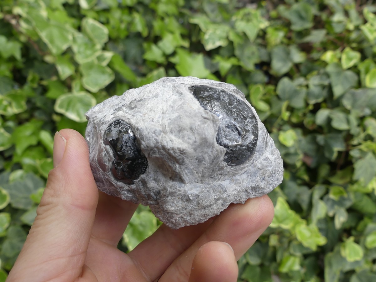 Obsidienne larmes d'Apache brute, lithothérapie | Boutique suisse de pierres & minéraux du monde