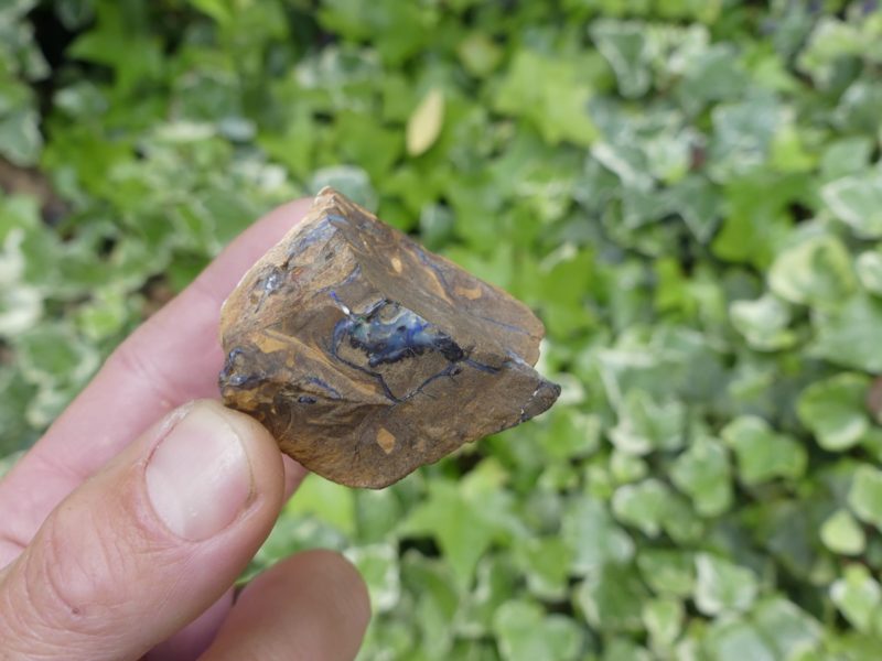Pierre brute Opale boulder d'Australie - Boutique de pierres & lithothérapie en Suisse