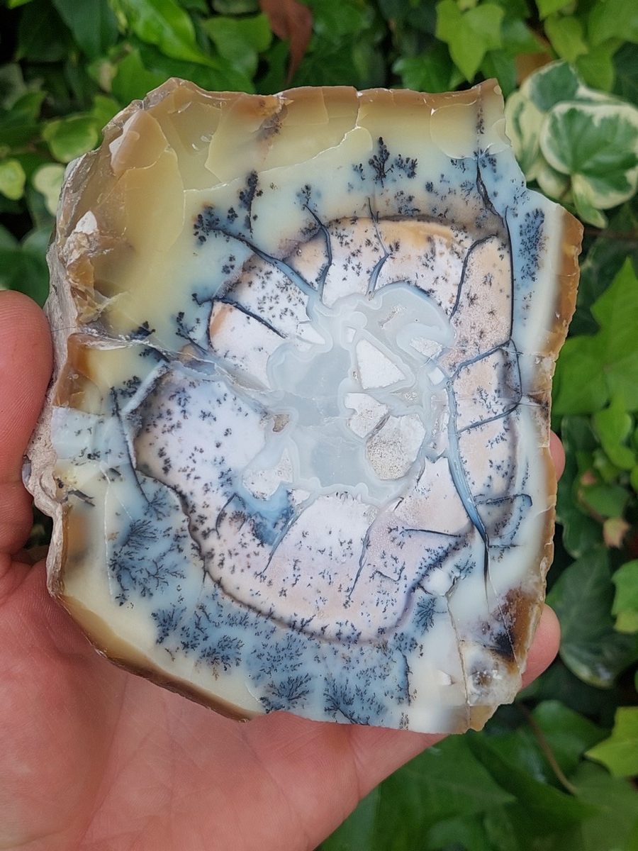 Agate dendritique et opale jaune tanche polie | Boutique suisse de minéraux du monde & lithothérapie