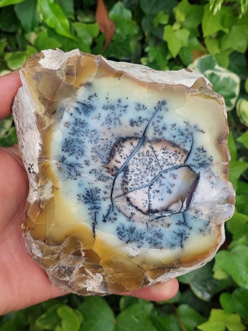 Agate dendritique et opale jaune tanche polie | Boutique suisse de minéraux du monde & lithothérapie