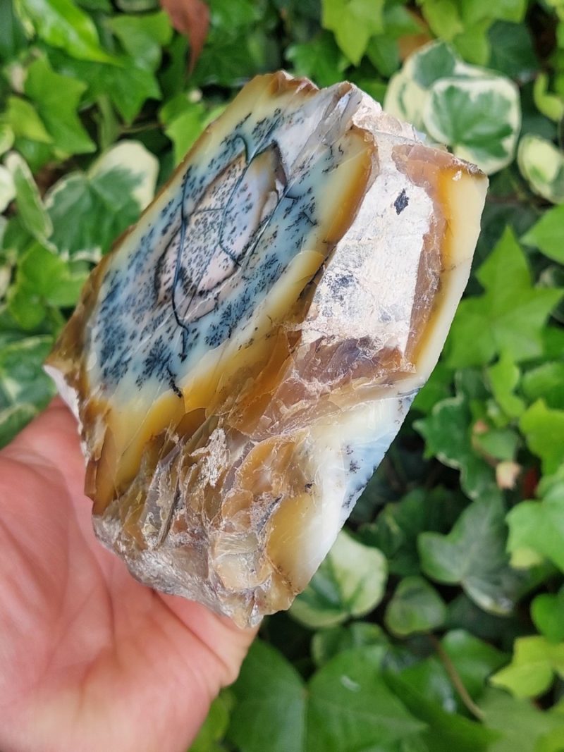 Agate dendritique et opale jaune tanche polie | Boutique suisse de minéraux du monde & lithothérapie