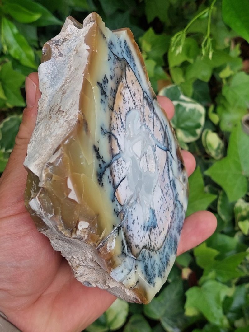 Agate dendritique et opale jaune tanche polie | Boutique suisse de minéraux du monde & lithothérapie