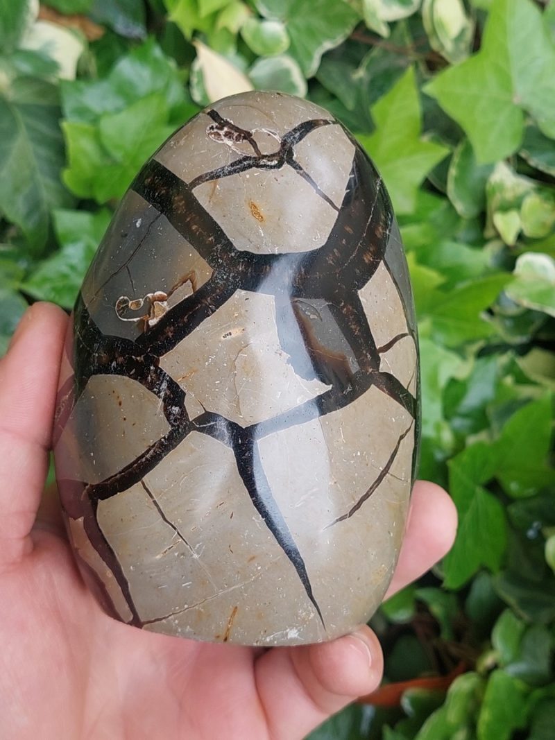 Menhir de Septaria de Magascar | Boutique de pierres & minéraux, lithothérapie