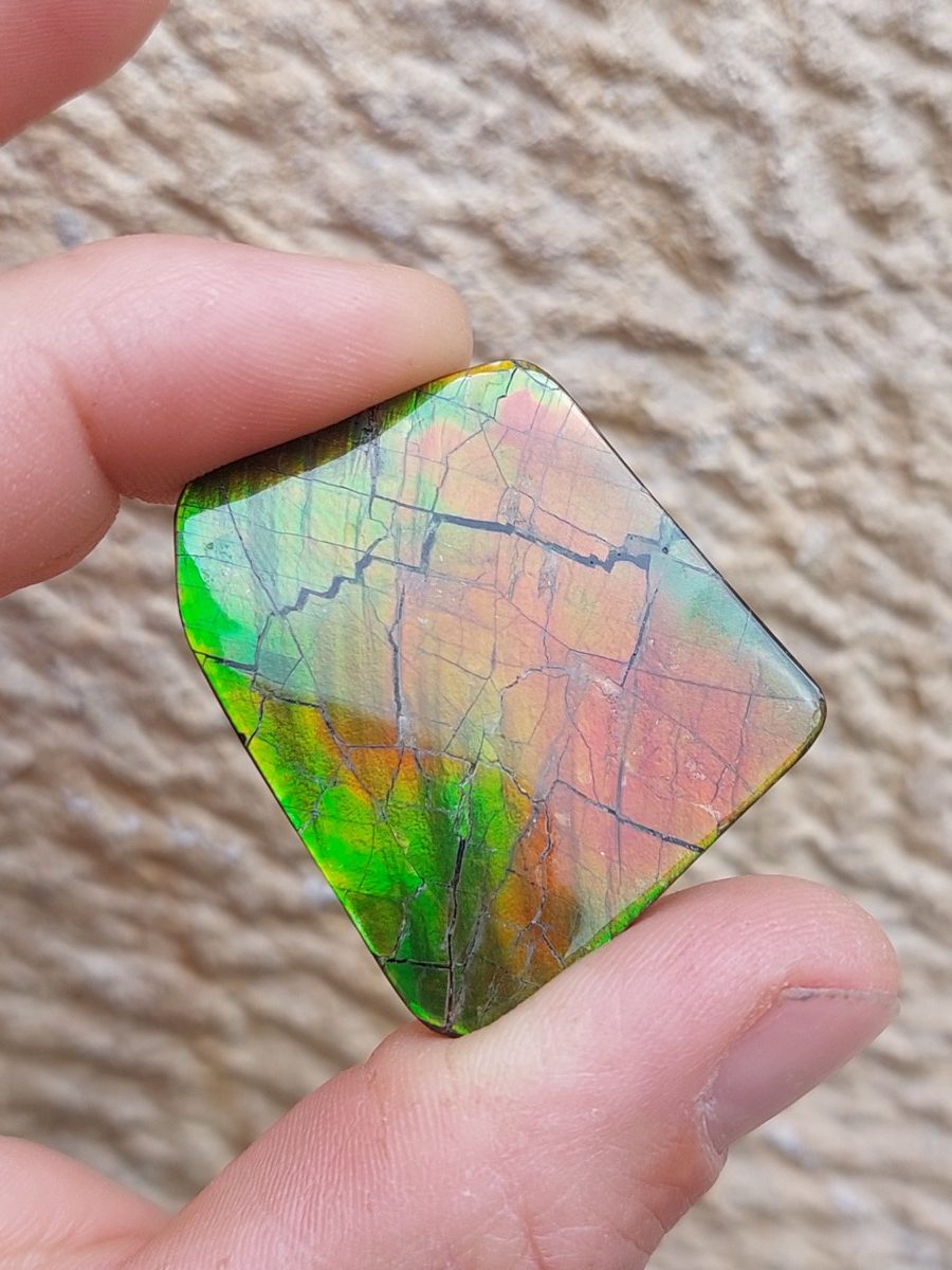 Ammolite cabochon du Canada | Boutique suisse Lithothérapie & minéraux du monde