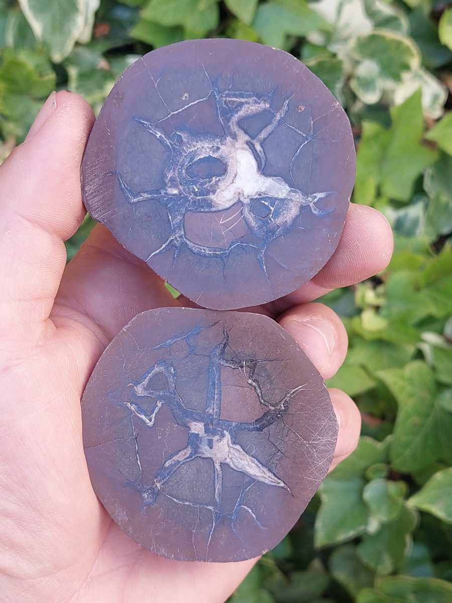 Nodule de Septaria la paire | Boutique de pierres & minéraux, lithothérapie