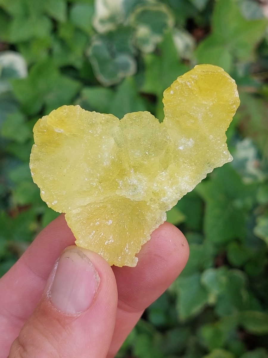 Brucite pierre brute| Boutique suisse de minéraux du monde