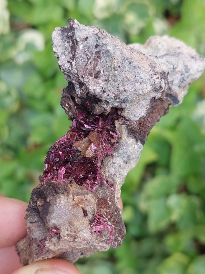 Erytrite brute | Boutique suisse de minéraux du monde