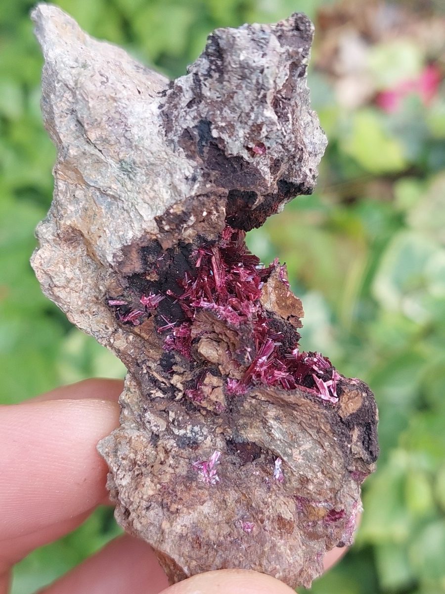 Erytrite brute | Boutique suisse de minéraux du monde
