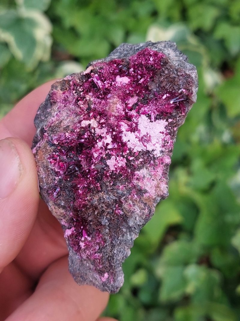 Erytrite brute | Boutique suisse de minéraux du monde