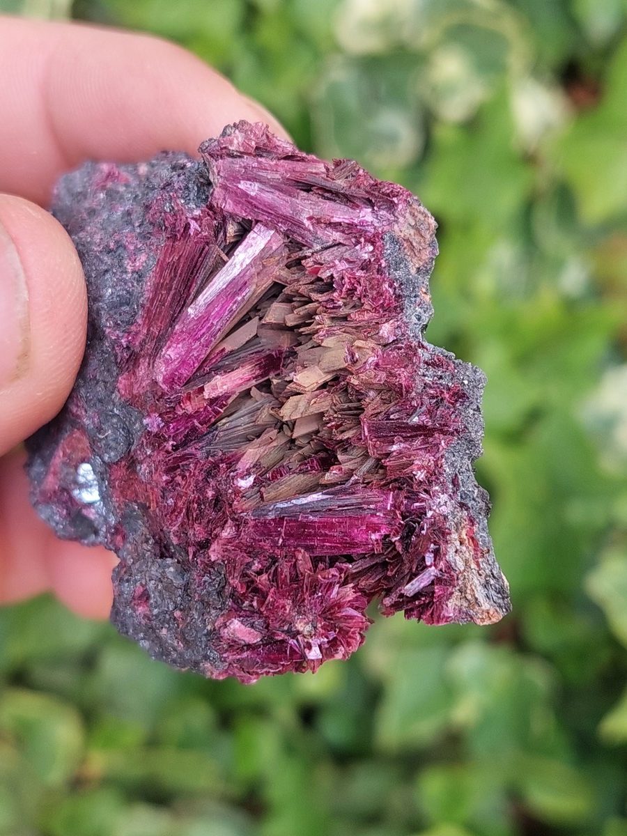 Erytrite brute | Boutique suisse de minéraux du monde