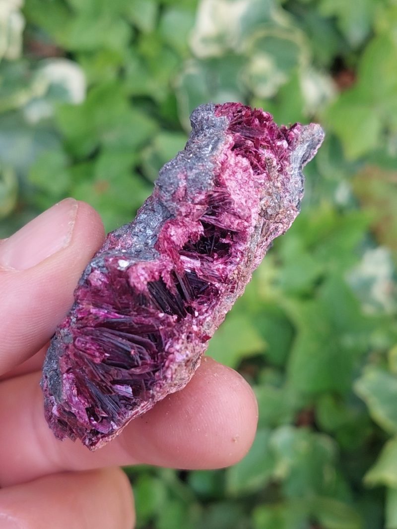 Erytrite brute | Boutique suisse de minéraux du monde