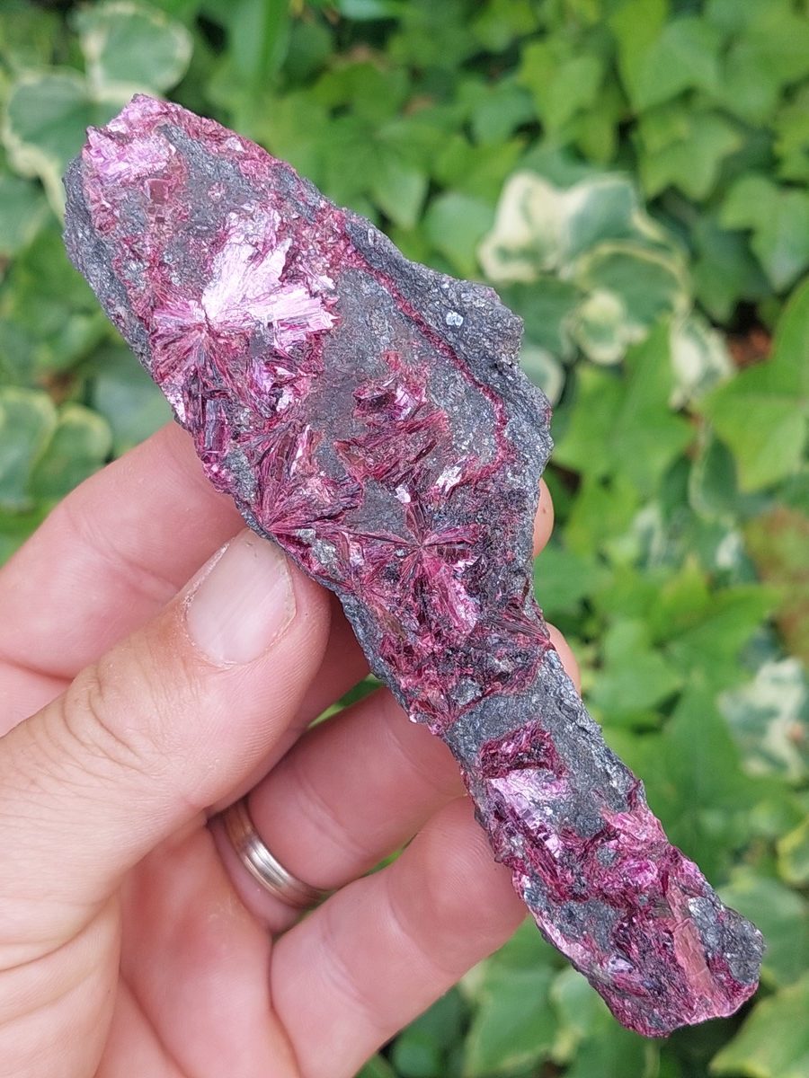 Erytrite brute | Boutique suisse de minéraux du monde