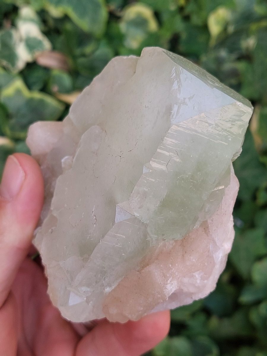 Gros cristaux d'Apophyllite brute | Boutique de minéraux du monde