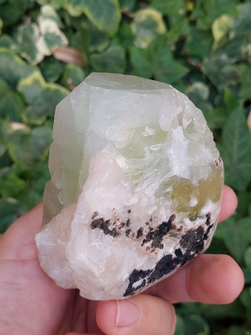 Gros cristaux d'Apophyllite brute | Boutique de minéraux du monde