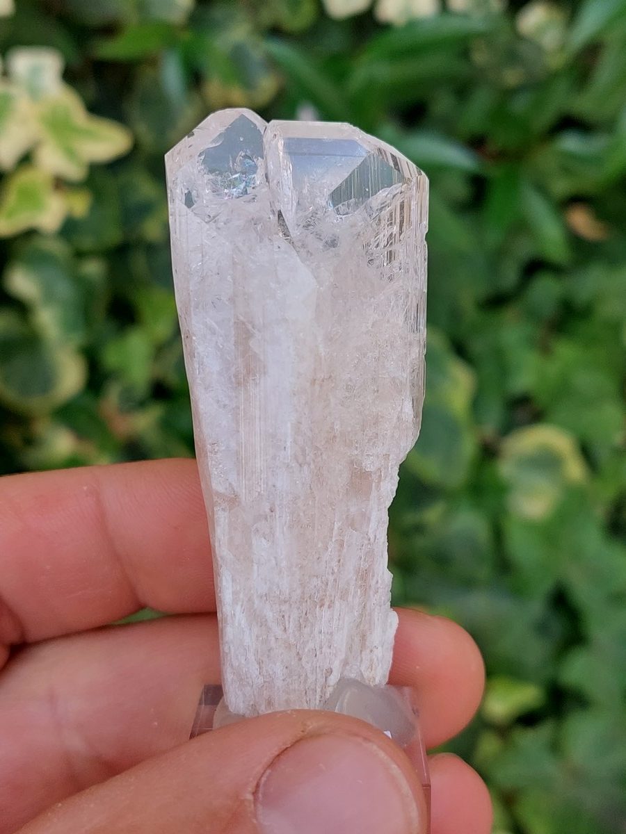 Découvrez notre magnifique sélection Danburite brute. Boutique Suisse. Livraison rapide. Commande en ligne.