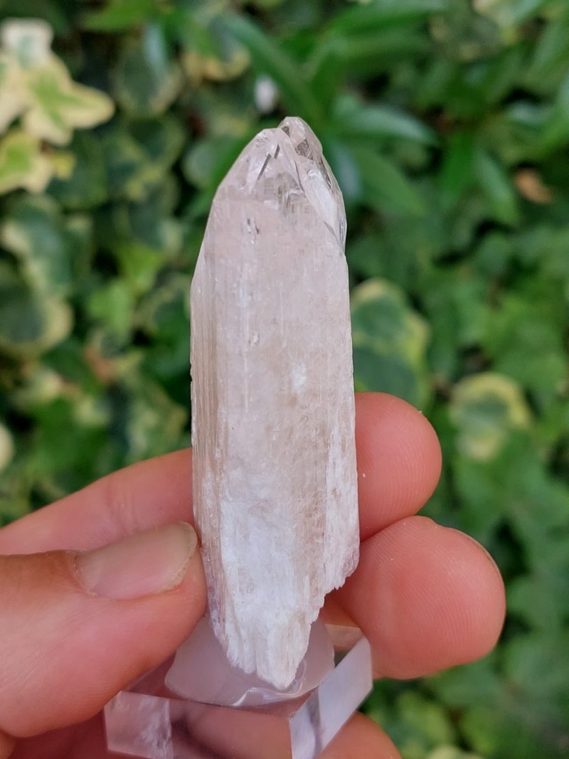 Découvrez notre magnifique sélection Danburite brute. Boutique Suisse. Livraison rapide. Commande en ligne.