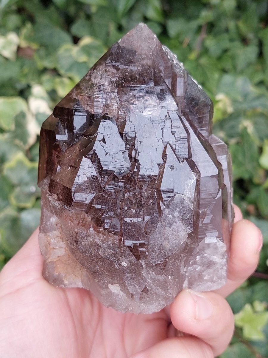 Quartz fumé Suisse | Boutique suisse de minéraux du monde
