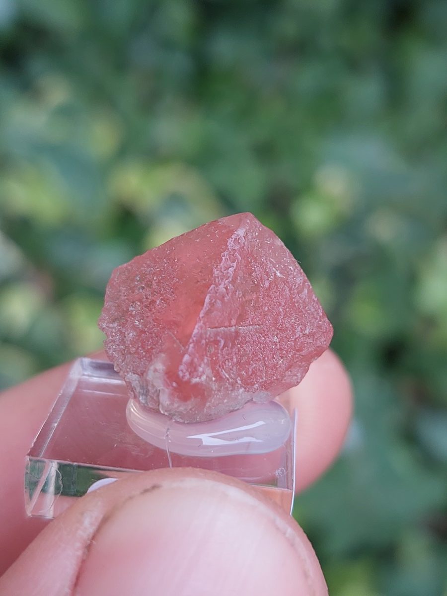 Fluorite rose brute de Suisse