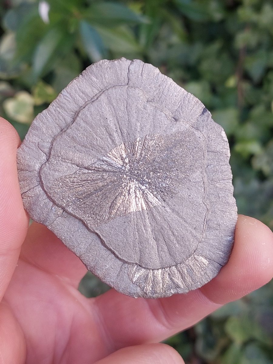 Pyrite soleil | Boutique suisse de pierres du monde & lithothérapie