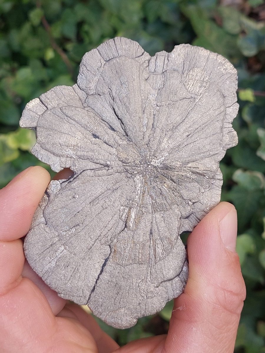 Pyrite soleil | Boutique suisse de pierres du monde & lithothérapie