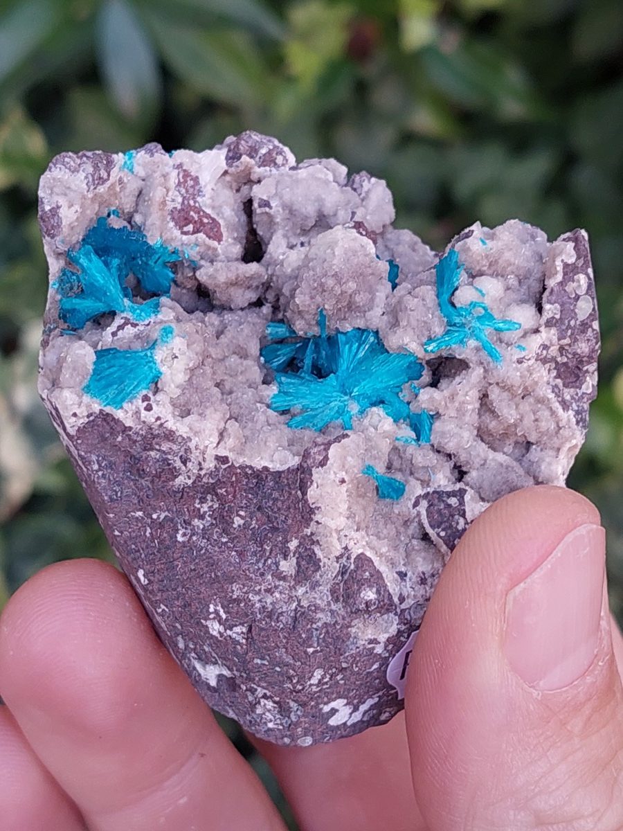 Cavansite brute | Boutique suisse de pierres du monde & lithothérapie