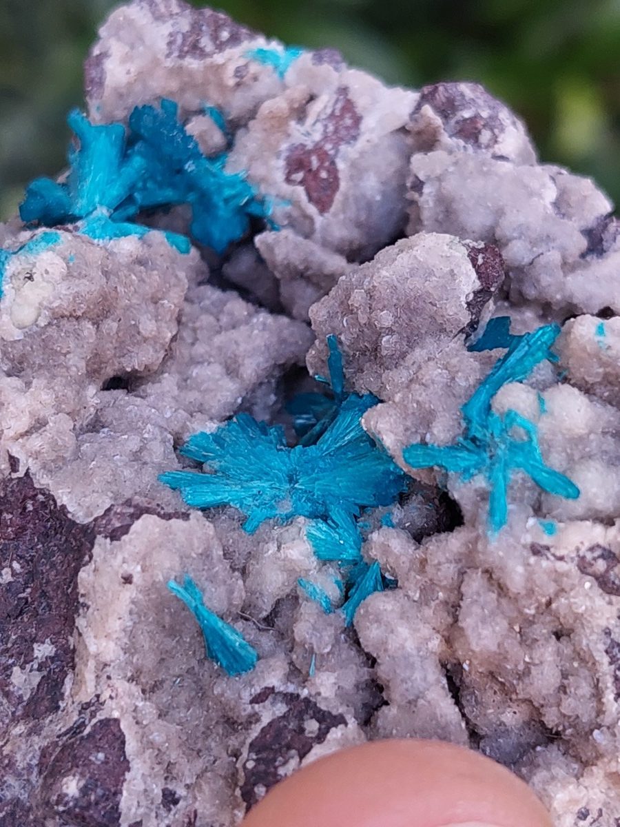 Cavansite brute | Boutique suisse de pierres du monde & lithothérapie