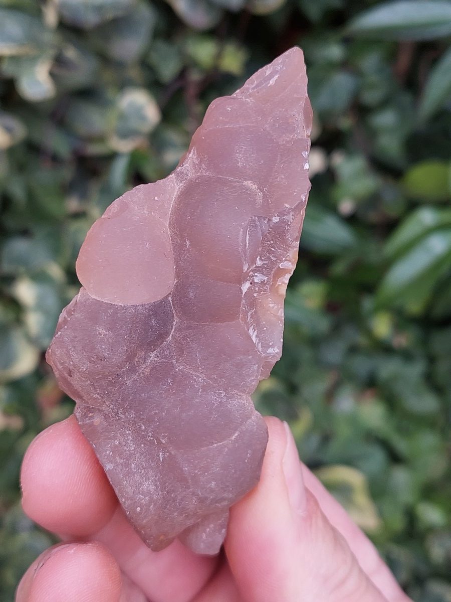 Bois Fossile botryoidal Calcédoine | Boutique suisse de pierres brutes