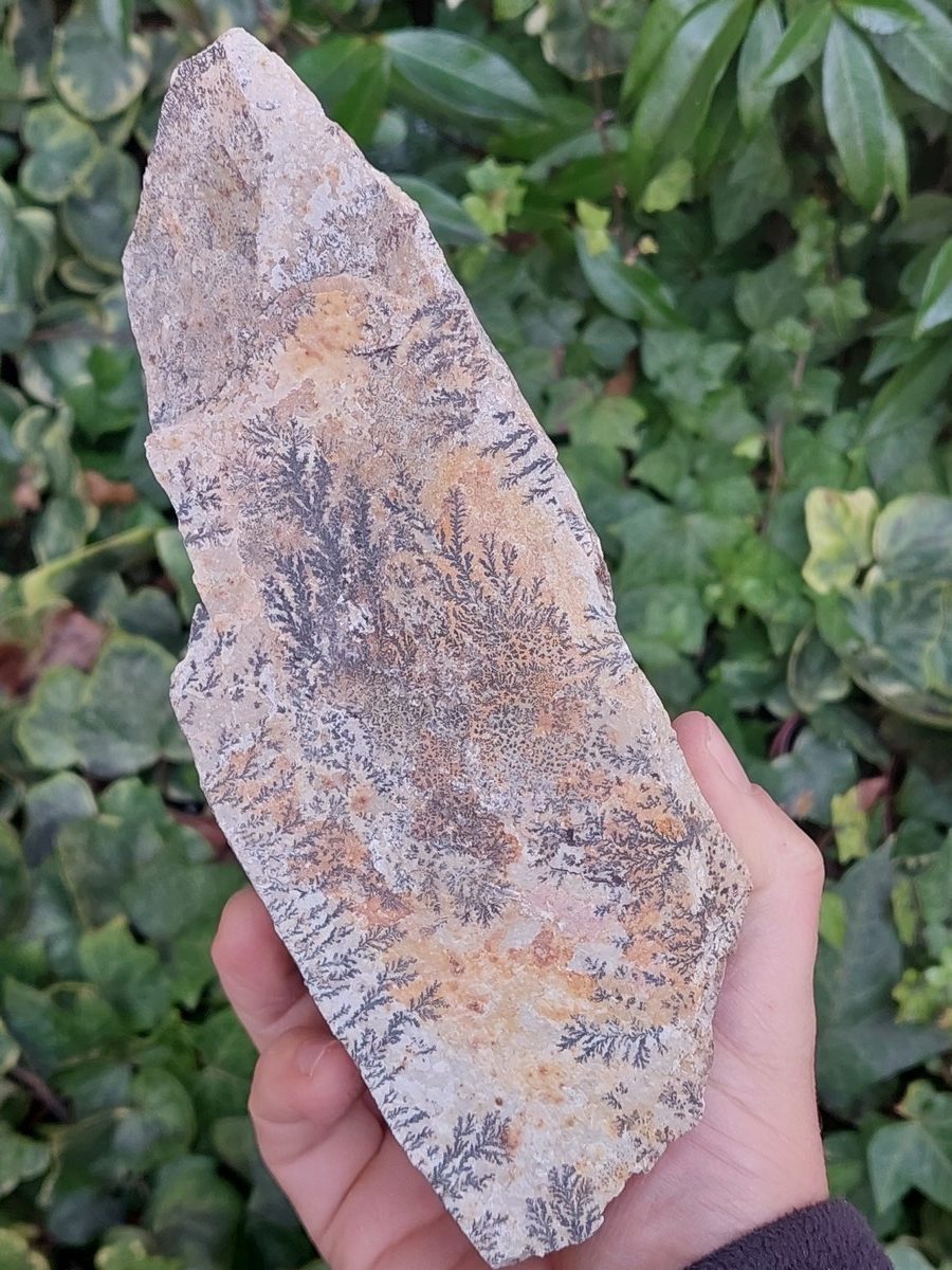 Manganèse dendrite brut