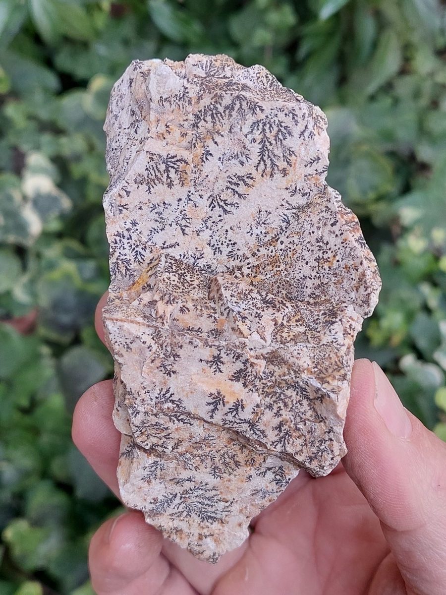 Manganèse dendrite brut