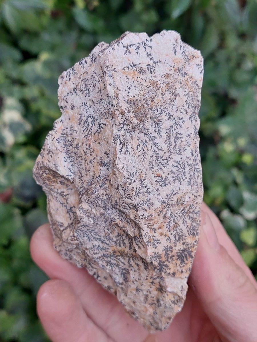 Manganèse dendrite brut – Image 2