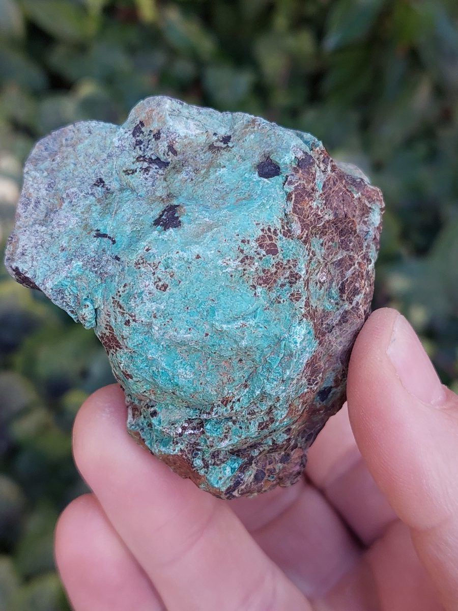 Turquoise d'Afrique, Jaspe brute | Boutique de minéraux du monde