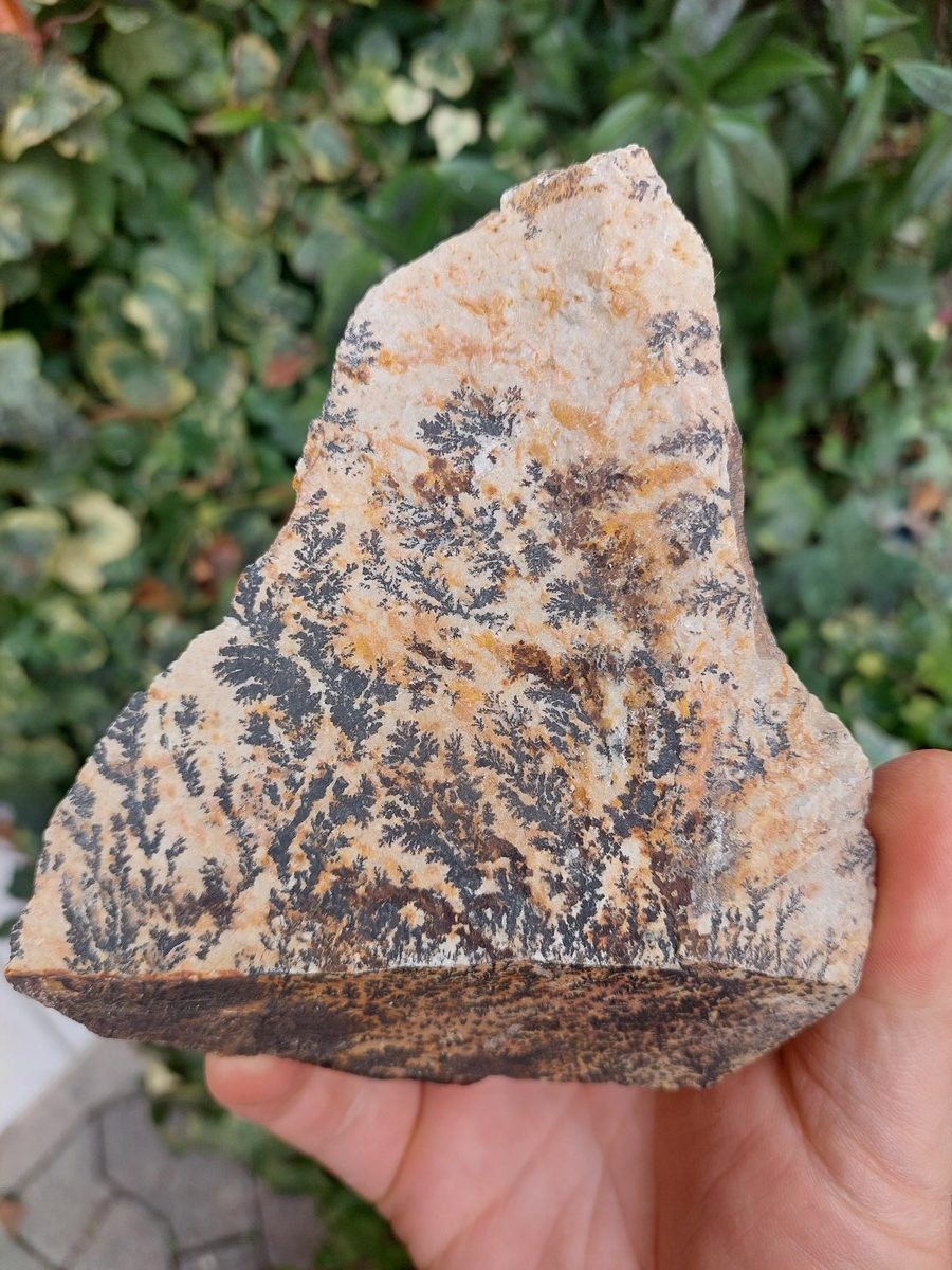 Manganèse dendrite brut