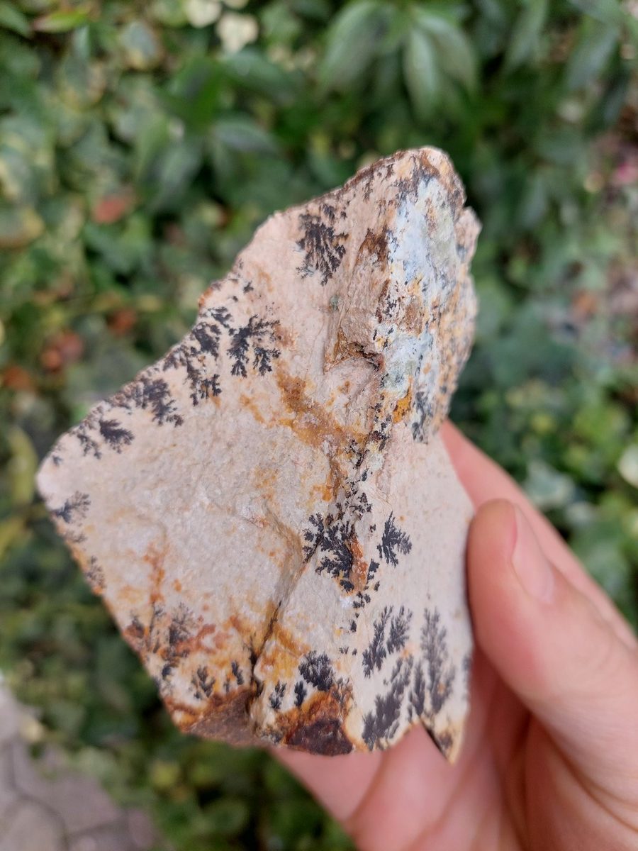 Manganèse dendrite brut