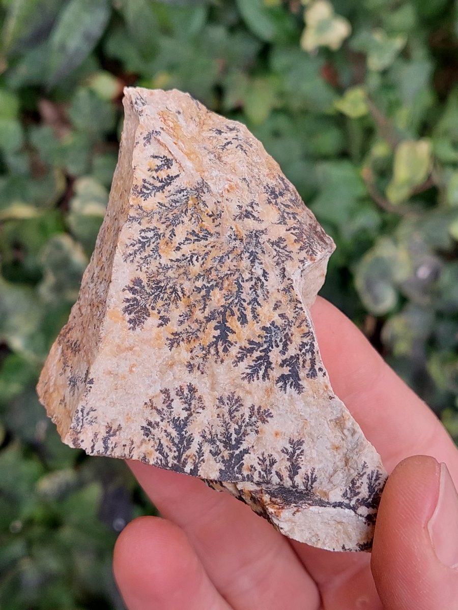 Manganèse dendrite brute | Magasin de minéraux du monde et lithothérapie