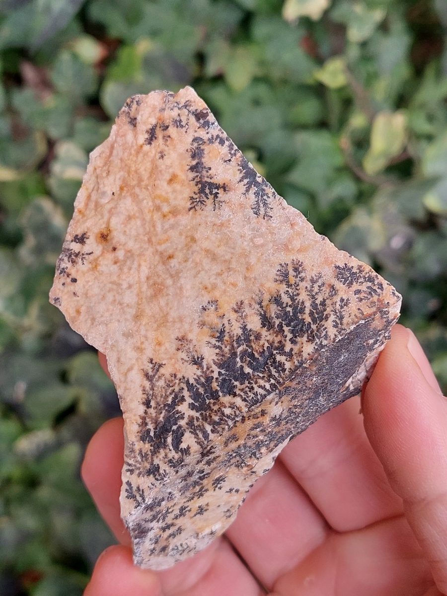 Manganèse dendrite brute | Magasin de minéraux du monde et lithothérapie