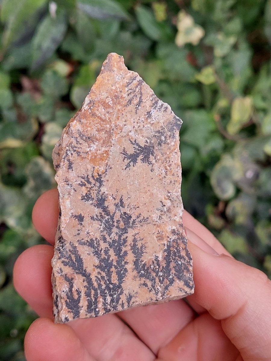 Manganèse dendrite brute | Magasin de minéraux du monde et lithothérapie