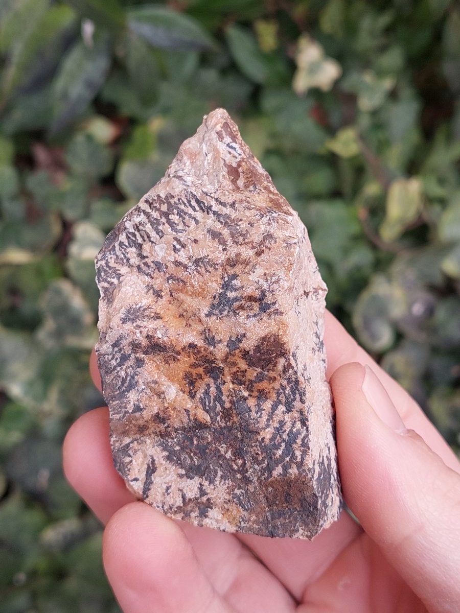 Manganèse dendrite brute | Magasin de minéraux du monde et lithothérapie