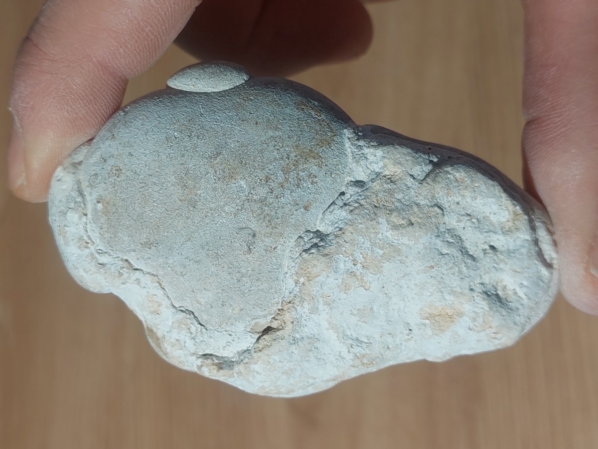 Pierre des Fées Opale Ménilite – Image 2