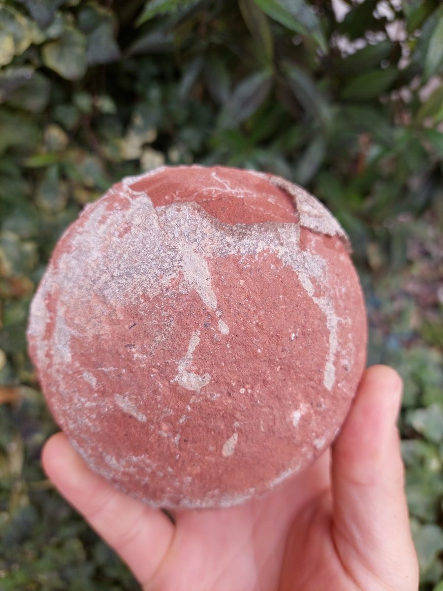 Oeuf fossil de Spheroolithus dinosaure - Boutique suisse de minéraux du monde & lithothérapie