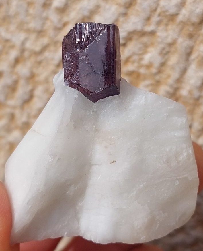 Cristaux de Scapolite sur gangue