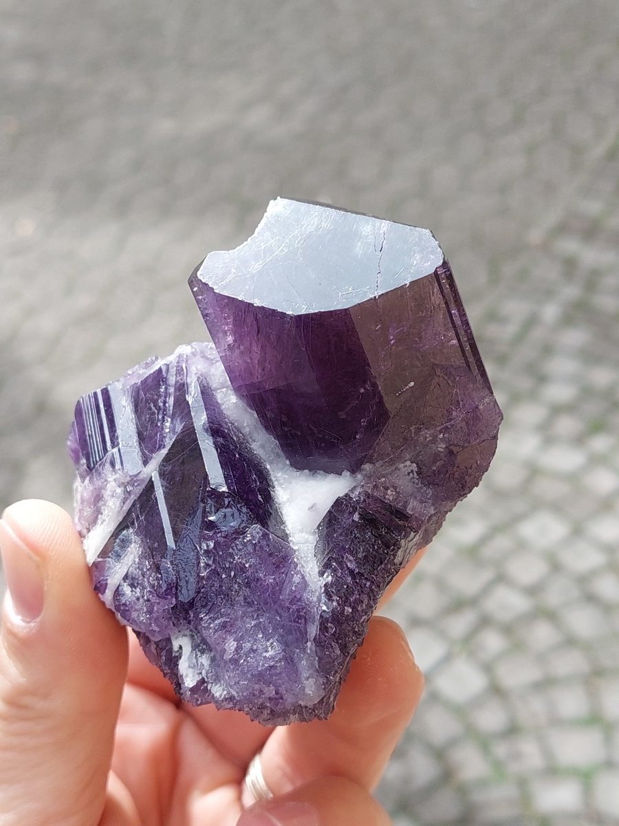 Cristaux de Scapolite sur gangue – Image 4