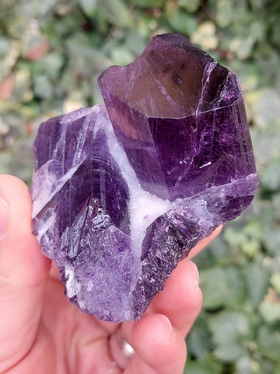 Cristaux de Scapolite sur gangue