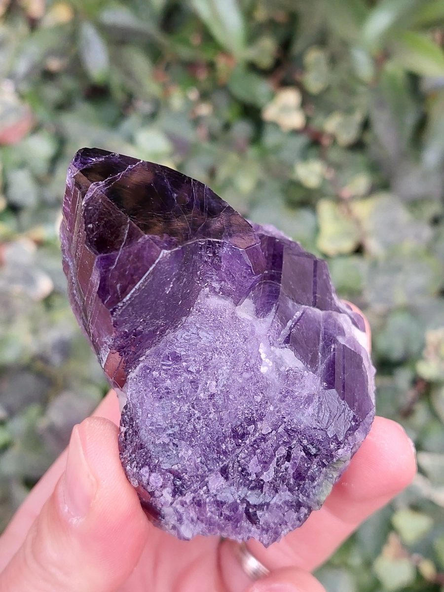 Cristaux de Scapolite sur gangue – Image 5