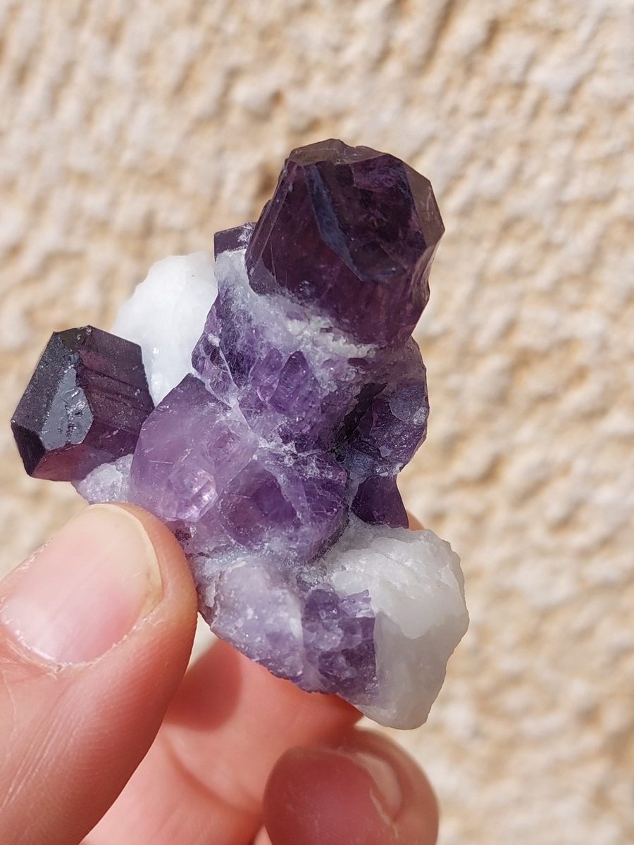 Cristaux de Scapolite sur gangue