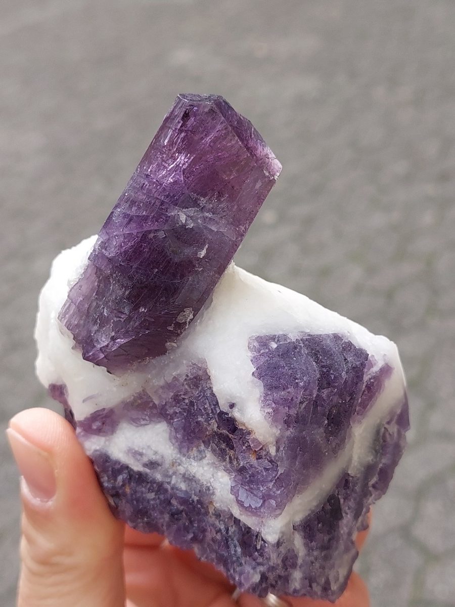 Cristaux de Scapolite sur gangue