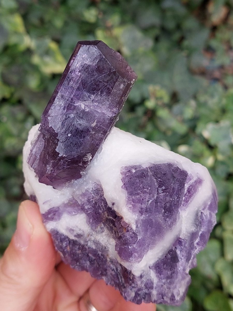 Cristaux de Scapolite sur gangue – Image 4